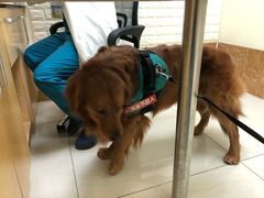-美联众合动物医院·24h京西诊疗中心