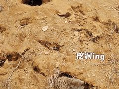 -杭州野生动物世界