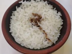 -文和友老长沙龙虾馆(化龙池店)