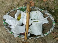 -马陆小张葡萄园农家乐