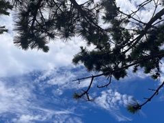 -八大关景区