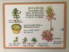 -上海昆虫博物馆