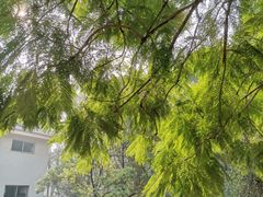 -西南交通大学(峨眉校区)