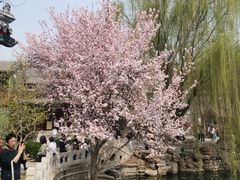 -莲池书院博物馆