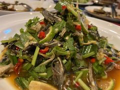 -滇道云南特色料理(康定路店)