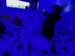 -重庆欢乐海底世界