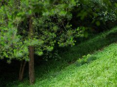 -西湖风景区-江洋畈生态公园