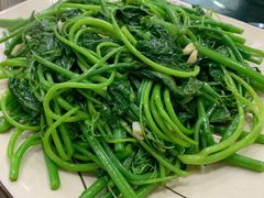 佛手瓜叶-鹅香阁私房菜(一鹅五味)
