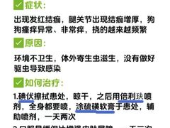 -御宝贝·A梦猫科宠物医院(国际猫友好医院)