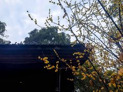 -成都杜甫草堂博物馆