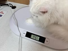 -瑞派康怡24h宠物医院·犬猫医疗中心·微创绝育(瑞景分院)