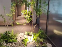 -来哥菜馆·大厨烹小鲜