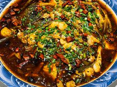 -新概念来凤鱼(璧山店)