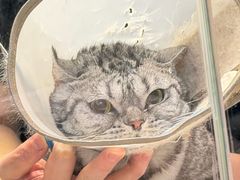 -FAELING PETS美天灵宠物(富力广场店)