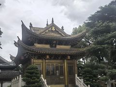 -上海东林寺(金山区)