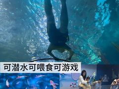 -合肥海洋世界