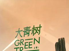 -大青树咖啡(大理古城店)