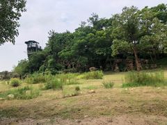 -东平国家森林公园