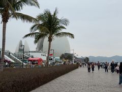 -野狸岛