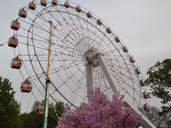 -东湖磨山景区