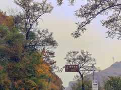 -白草畔自然风景区