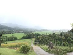 -黄色小屋