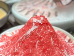 -禄婶鸡煲·打边炉