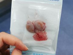 -伟伟宠物医院·CT影像中心·瑞派犬猫综合性门诊(汉口总院)