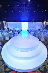 -M'S BANQUET AND SPACE ART