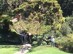 -汉庭顿图书馆