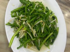 -新峰肉骨茶