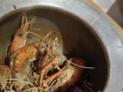 -隅乐胡椒虾·台湾菜·团建(皇岗店)