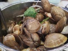 一桶黄蚬-渔娘渔家丹东海鲜(东直门店)