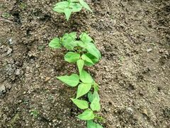 -邹记·美食(斗门店)