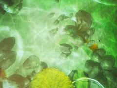 -淀里船宴(卓达店)