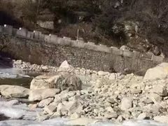 -秦岭风景区