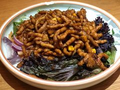 京酱肉丝-春饼先生·北京烤鸭(甘井子万达店)
