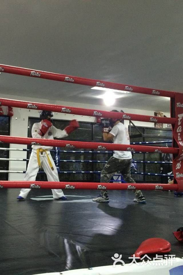 上海东星联合会itf跆拳道 kickboxing自由搏击图片 - 第9张