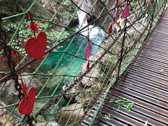 -祁门牯牛降观音堂风景区