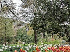 -杭州花家山庄