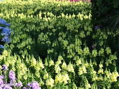 -广州市白云山风景名胜区