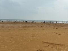 -日照海滨国家森林公园