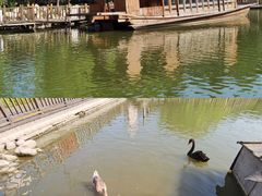 -河北村民俗体验园