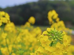 -南山风景名胜区