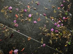 -三亚海棠湾万丽度假酒店