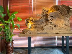 -足本纪·足道 SPA 简餐 小吃(文三西路店)
