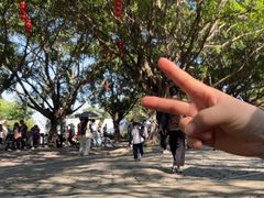 -南沙天后宫景区