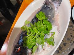 千岛湖鳙鱼(胖头鱼)-匠岳·王宝器麻椒鱼(会展中心店)