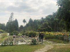 -华南国家植物园-售票处