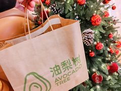 -油梨树AVOCADO TREE(嘉里中心店)